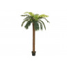 Phoenix palmboom 300cm