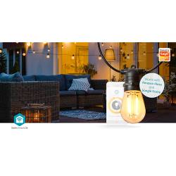 Nedis WIFILP01F10 SmartLife Decoratieve LED | Feestverlichting | Wi-Fi | Warm Wit | 10 LED's | 9.00 m | Android™ / IO...