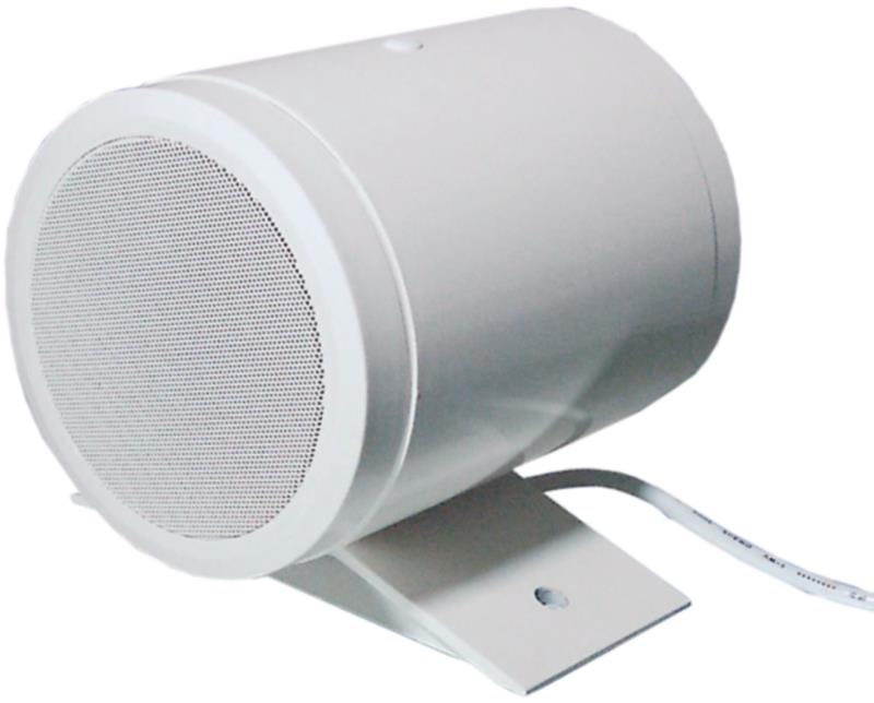 Visaton PL 13 D, 100 V Bi-directional projection speaker 8 ?