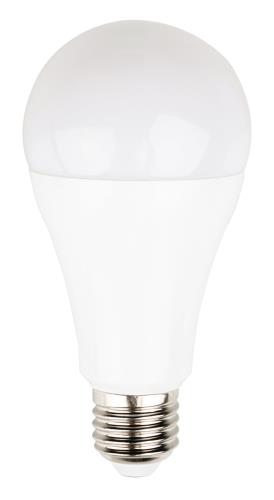 HQ HQLE27A67002 Dimbare LED-lamp A67 E27 13 W 1 055 lm 2 700 K