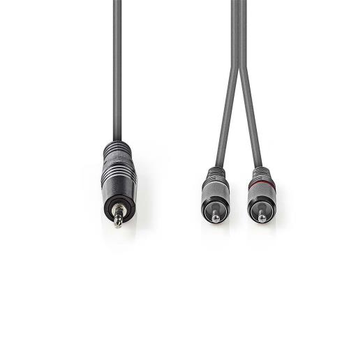 Nedis COTH22200GY30 Stereo audiokabel | 3,5 mm male - 2x RCA male | 3,0 m | Grijs