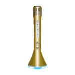 Idance speakers Party mic pm10 gold Idance speakers party mic pm10 gold (1)