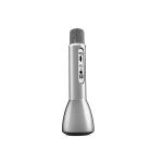 Idance speakers Party mic pm-60 silver Idance speakers party mic pm-60 silver (1)