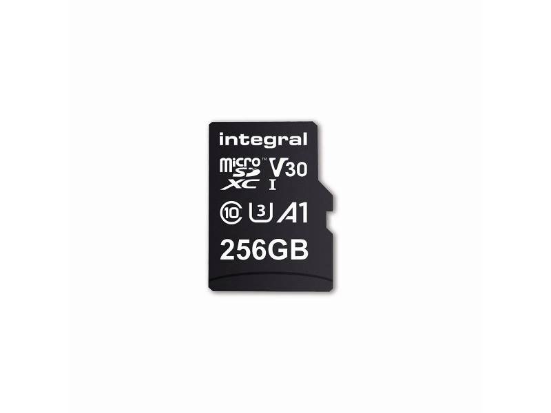 Integral INMSDX256G-100/80V30 Geheugenkaart